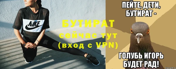 молекула духа Богданович