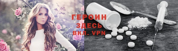 молекула духа Богданович