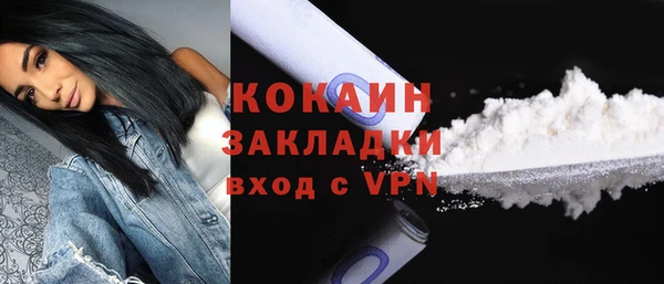 крисы Богородицк
