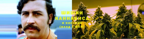 молекула духа Богданович