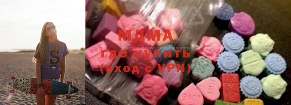 молекула духа Богданович