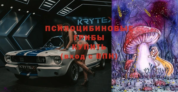 молекула духа Богданович