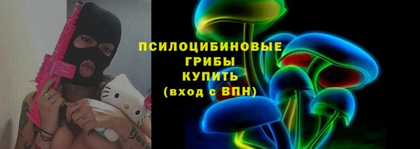 молекула духа Богданович