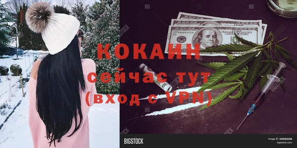 крисы Богородицк