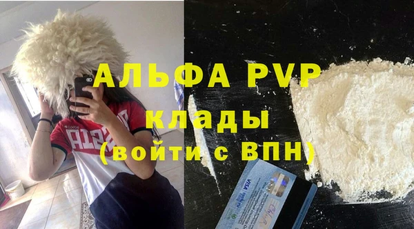 молекула духа Богданович