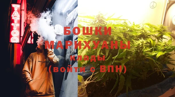 крисы Богородицк