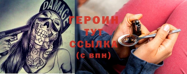 молекула духа Богданович