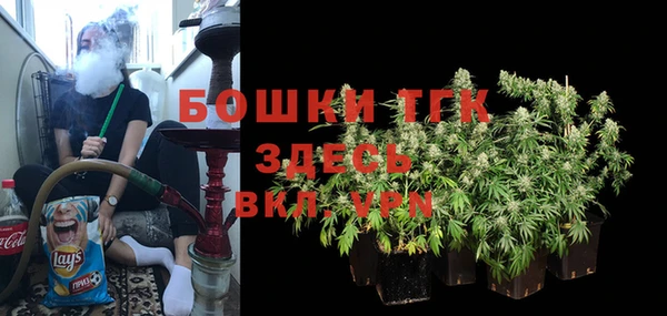 молекула духа Богданович