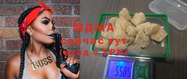 молекула духа Богданович