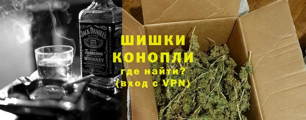 молекула духа Богданович