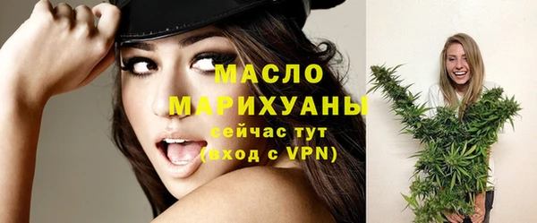 молекула духа Богданович