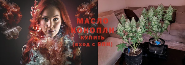 молекула духа Богданович