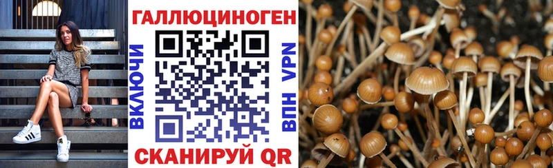 Псилоцибиновые грибы мицелий  Дубна 